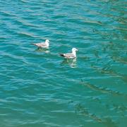 霖霖的小铺的个人资料头像