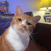 银河修理员的个人资料头像