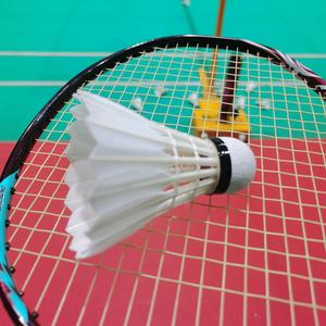 杨杨杨羽毛球🏸头像