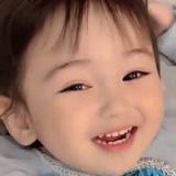 灰色小枫叶头像