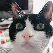 李阿良的个人资料头像