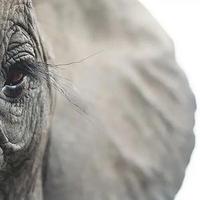 瑞图空间设计头像