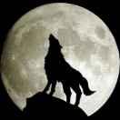 kkkkk的个人资料头像