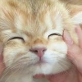 用户28785308头像