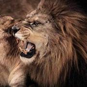 〇〇420的个人资料头像