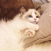 深圳吴彦祖的个人资料头像