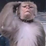 用户5188370950498的个人资料头像