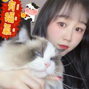 楊杨的个人资料头像
