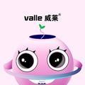 valle音响头像