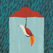 missingHongyan的个人资料头像