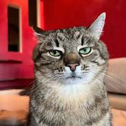 落水陌上的个人资料头像