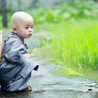 8温酒续余生8头像