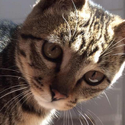 __Wonder__的个人资料头像