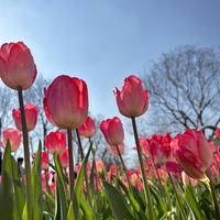 追风少年大师兄头像