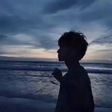 曲终人亦散478头像