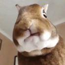 王明昭的个人资料头像