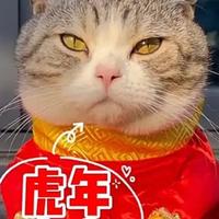 漂泊的人生头像