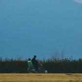 是你鸟哥头像