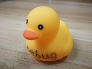 傲风大帝狗的个人资料头像