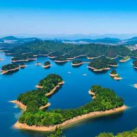 用户3882287753710头像