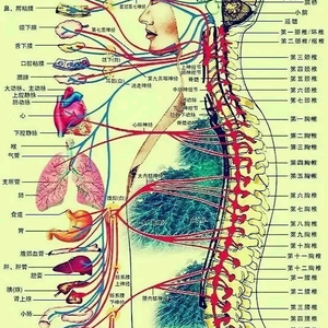 正义发生XMN头像