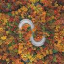 JoelD的个人资料头像