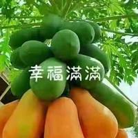 成城头像