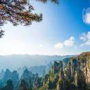 AMINBLUEST的个人资料头像