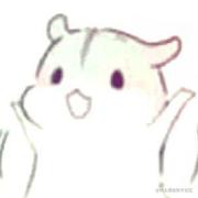 FuxuanNet的个人资料头像