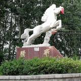 思念埋在发间151头像