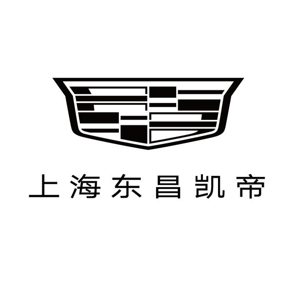 上海东昌纯电锐歌专区头像