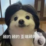 ALenX头像