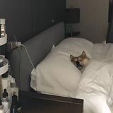 用户3192180629946头像