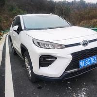 自在晚风azn头像