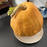 微笑的密语头像