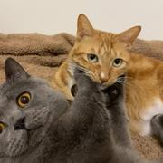 塔下种蘑菇的个人资料头像