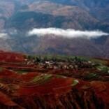 旧巷幽草香味头像