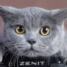 爱学68184的个人资料头像