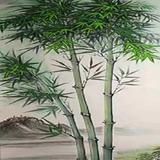 于楠泓头像
