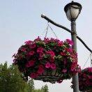 叶青在掘金的个人资料头像