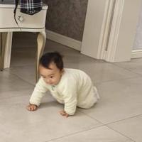 豆豆的小势GSY头像