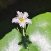 用户2760341871582头像
