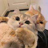 用户629672661861头像