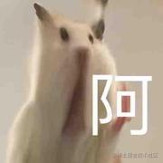 得到腰间盘的个人资料头像