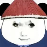 九月与佛波勒头像