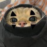 用户2351031079499头像