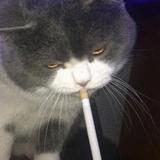 冬雨o>_<o头像