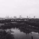 Histo的个人资料头像