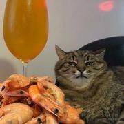 Ayaka_Ago的个人资料头像