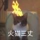 船底星671头像
